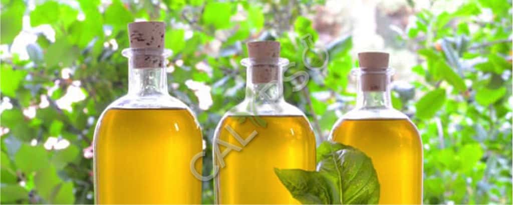 Olio naturale del basilico